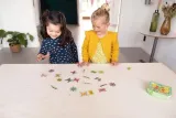 gra-logiczna-znajdz-motylka-scratch