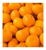 yodeyma-perfumy-escitia-100ml