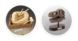 muzeum-czaszek-dinozaura-tyranozaur-buki
