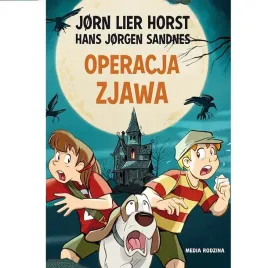 operacja-10-zjawa