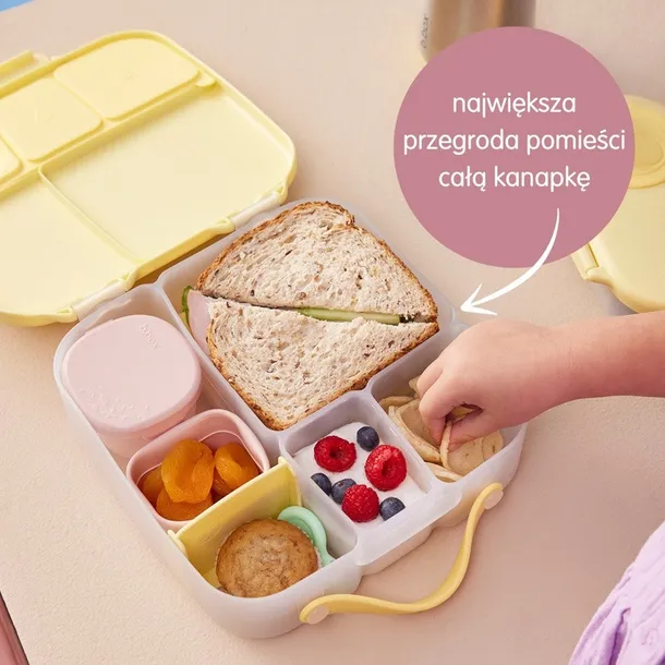 lunchbox-spearmint-b-box
