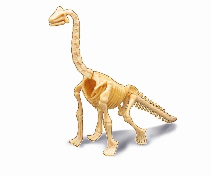 maly-paleontolog-brachiozaur-buki