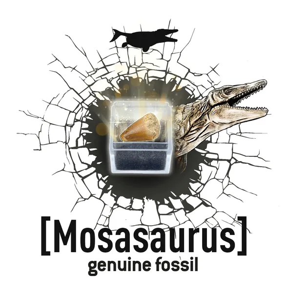 maly-paleontolog-brachiozaur-buki