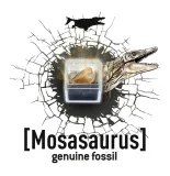 maly-paleontolog-stegozaur-buki