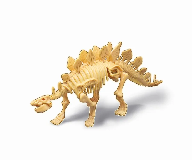 maly-paleontolog-stegozaur-buki