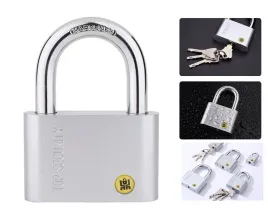 klodka-top-security-dyskowa-4-klucze-srebrna-xj6066-srednia-40mm