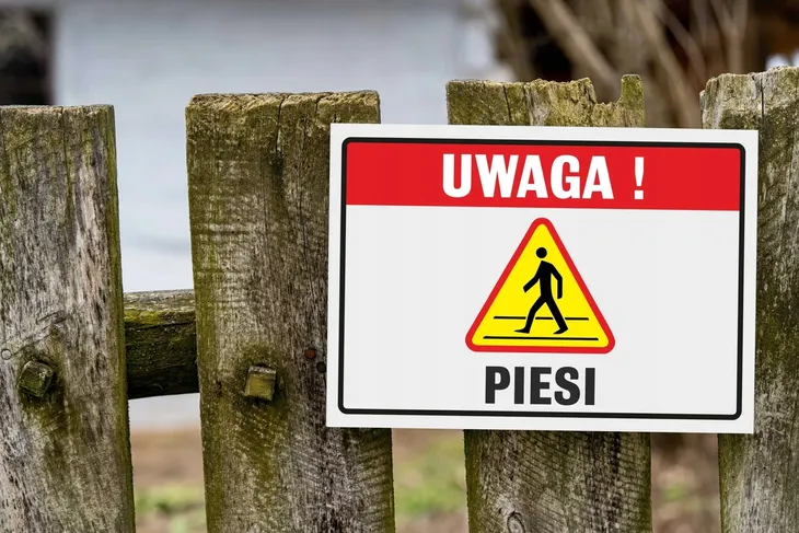 tabliczka-uwaga-piesi-tematyka-instrukcja-bhp