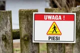 tabliczka-uwaga-piesi-tematyka-instrukcja-bhp