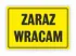 Kolor / wzór produktu #35