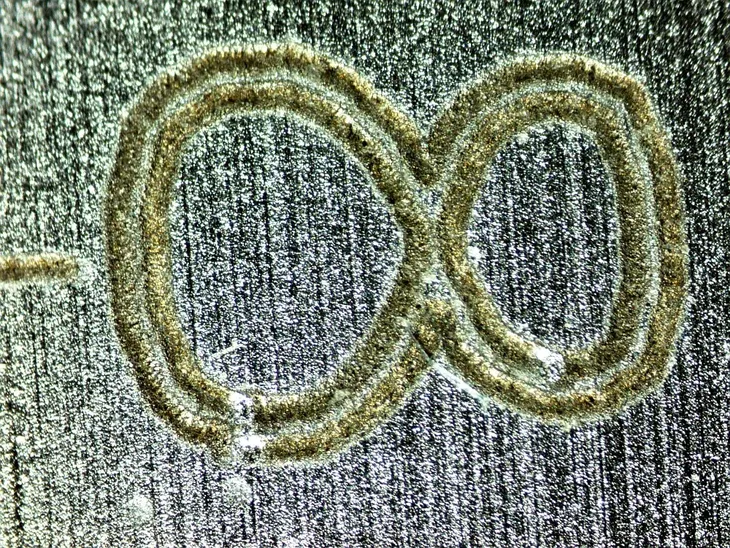 mikroskop-biolight-100-niebieski-model-biolight-100-niebieski-kod-producenta-do-3211