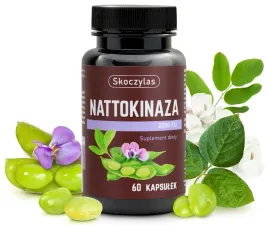 nattokinaza-2000-fu-skoczylas-5906843813171-5906843813171
