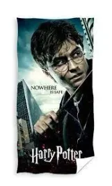 recznik-harry-potter-czary-magia-czarodziej