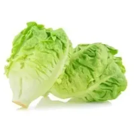 salata-rzymska-mini-2-szt