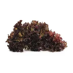 salata-karbowana-czerwona-ok-150-g
