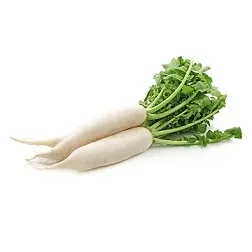 rzodkiew-biala-ok-500-g-2-szt