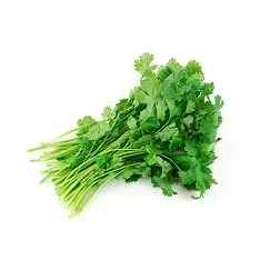 kolendra-swieza-cieta-ok-100-g