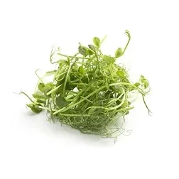 kielki-slonecznika-bio-ok-50-g