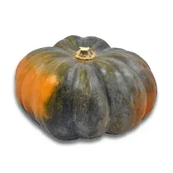 dynia-zielona-muscat-ok-5-kg