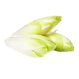 cykoria-zolta-ok-500-g