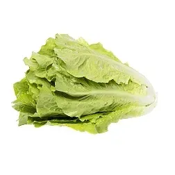 salata-rzymska-1-szt-ok-180-g
