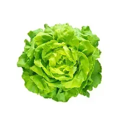 salata-maslowa-1-szt