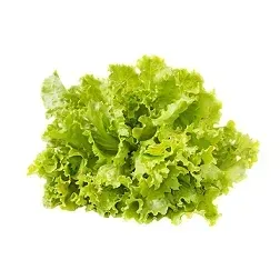 salata-karbowana-zielona-ok-150-g