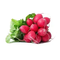 rzodkiewka-peczek-1-szt