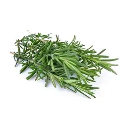 rozmaryn-swiezy-ciety-ok-100-g