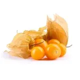 physalis-miechunka-ok-100-g