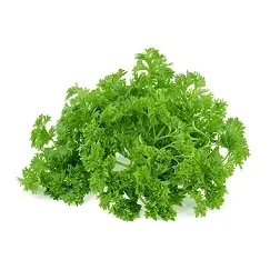 natka-pietruszki-karbowana-peczek-1-szt