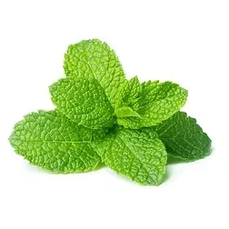 mieta-swieza-cieta-ok-100-g