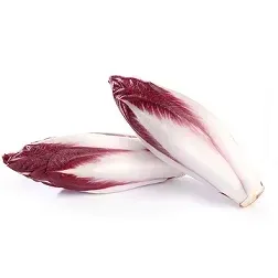cykoria-czerwona-ok-250-g