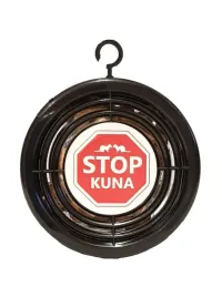 skutecznie-pozbadz-sie-szkodnika-z-auta-stop-kuna