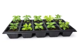 wielodoniczki-multiplaty-15-komor-palety-wysiewowe-do-rozsad-doniczki