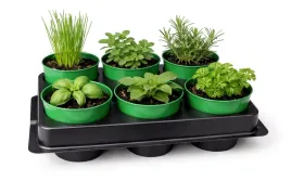 paletka-z-doniczkami-produkcyjnymi-do-rozsad-sadzonki-roslin-6-szt-paletka