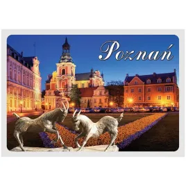 pocztowka-3d-poznan-plac-kolegiacki