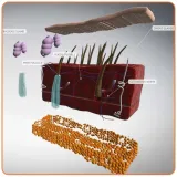 oprogramowanie-roqed-science-licencja-wieczysta-liczba-stanowisk-1