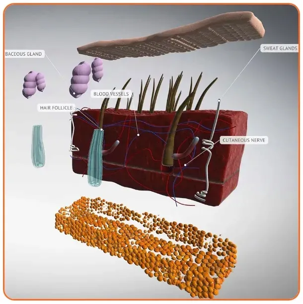 oprogramowanie-roqed-science-licencja-wieczysta
