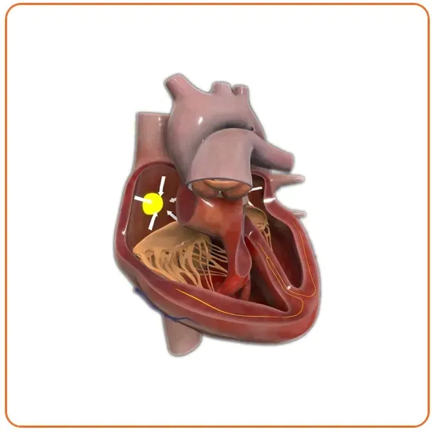 oprogramowanie-roqed-science-licencja-wieczysta-platforma-windows
