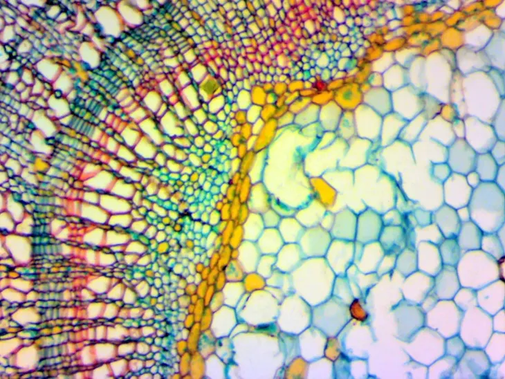 kamera-mikroskopowa-dlt-cam-basic-2-mp-usb-2-0-stan-nowy-waga-z-opakowaniem-0-19-kg