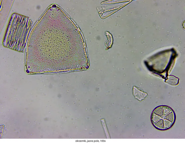 mikroskop-delta-optical-genetic-pro-mono-model-genetic-pro-mono-waga-z-opakowaniem-5-5-kg