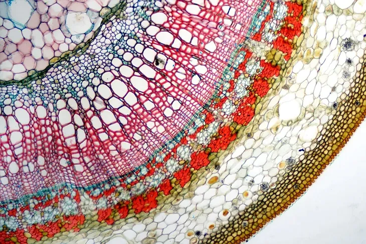 mikroskop-delta-optical-proteone-model-proteone-stan-nowy