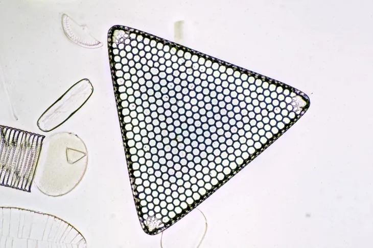 mikroskop-delta-optical-proteone-model-proteone-waga-z-opakowaniem-8-35-kg