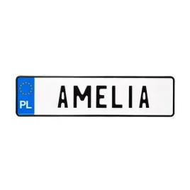 mala-polska-tablica-tloczona-z-imieniem