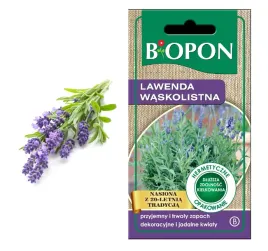 biopon-nasiona-lawenda-waskolistna-02g