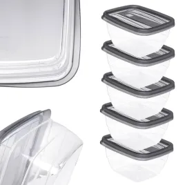 pojemnik-na-zywnosc-pudelka-sniadaniowe-5x025l-lunchbox-z-pokrywka-zestaw