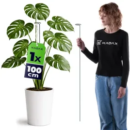 podpora-do-roslin-100-cm-obejma-podporka-kwiatow-roz-metalowa-zielona
