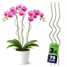 3-szt-tyczka-do-kwiatow-75cm-spiralna-roslin-pnacych-palik-podpora-zielona