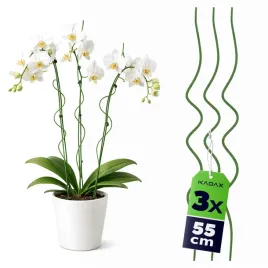 3-szt-tyczka-do-kwiatow-55cm-spiralna-roslin-pnacych-palik-podpora-zielona