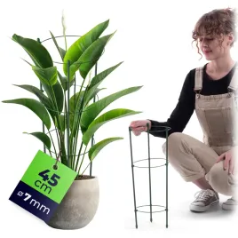 podpora-pierscieniowa-do-roslin-kwiatow-45-cm-metalowa-podporka-obrecze
